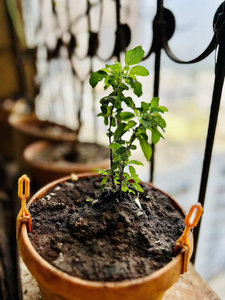 坦工厂图片下载