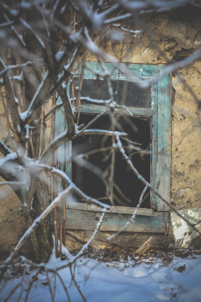 关闭杂草丛生的树枝在废弃的房子前面与破碎的窗户概念照片图片下载