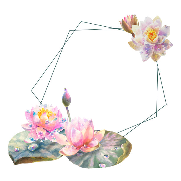 水彩花环的睡莲花与空白的空间为您的文本。图片下载
