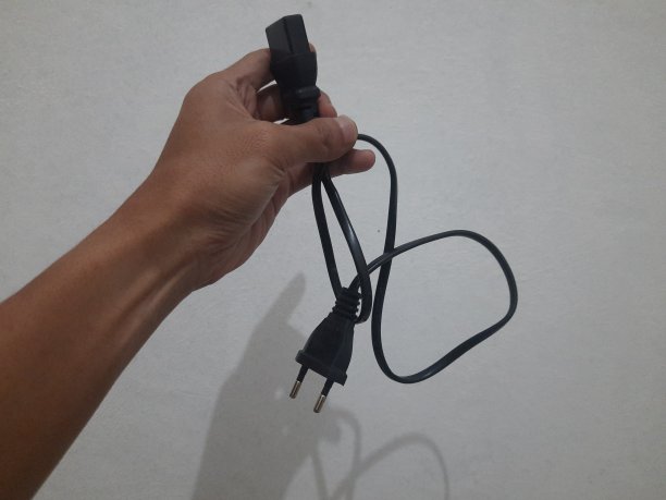 某人的手拿着插头电线图片下载