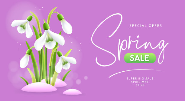 春季大卖海报与现实充分开花雪花莲。矢量图图片下载