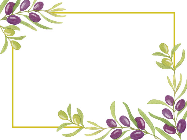 黑色橄榄枝水彩卡。手绘。橄榄枝上的浆果。为问候，菜单，明信片设计。图片下载