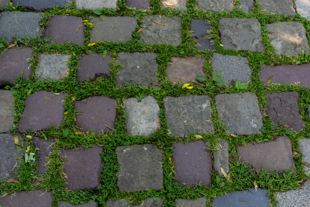 路上鹅卵石铺着绿草。背景图片以城市规划、复古、旅游为主题图片下载
