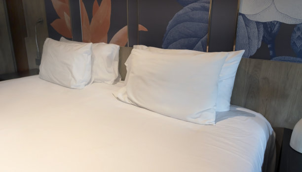 白色的靠垫和白色的枕头使现代的卧室内饰与时髦时髦的房间形象相结合图片下载