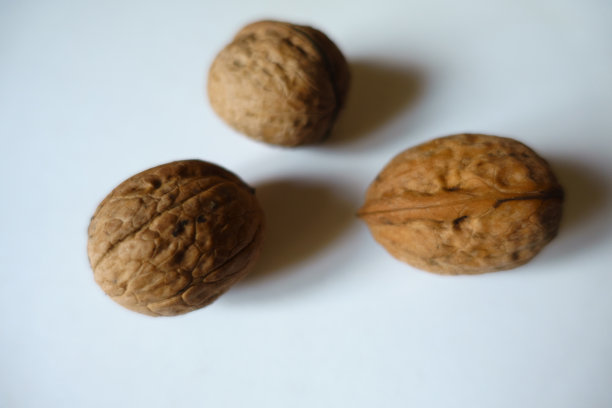 三颗成熟的棕色未去壳的波斯核桃果实图片下载