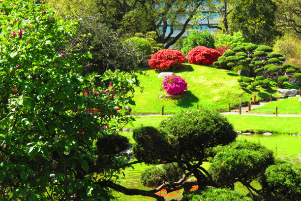 布宜诺斯艾利斯巴勒莫区的公园。图片下载