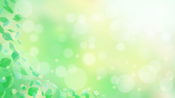 绿色的叶子和闪耀的灯光背景插图图片下载