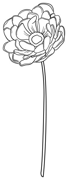 精致的线条艺术单花矢量图片下载