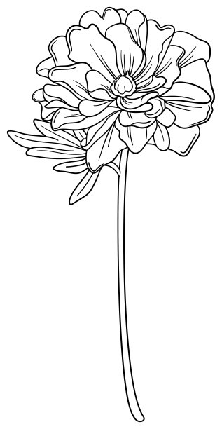 精致的线条艺术单花矢量图片下载