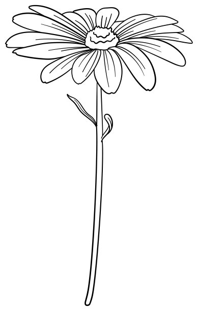 精致的线条艺术单花矢量图片下载