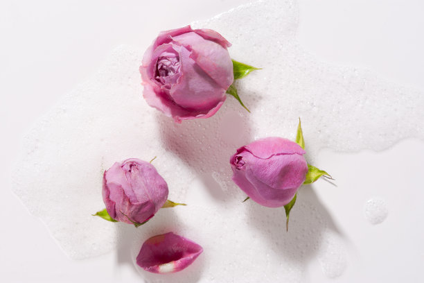 玫瑰泡沫水特写。图片下载