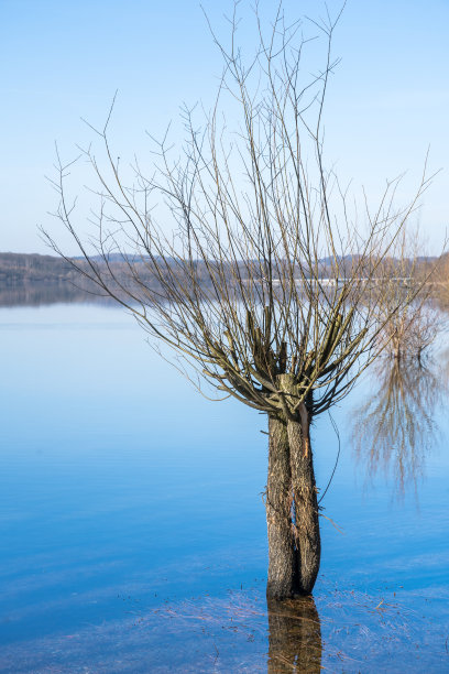 美丽的湖泊景观图片下载