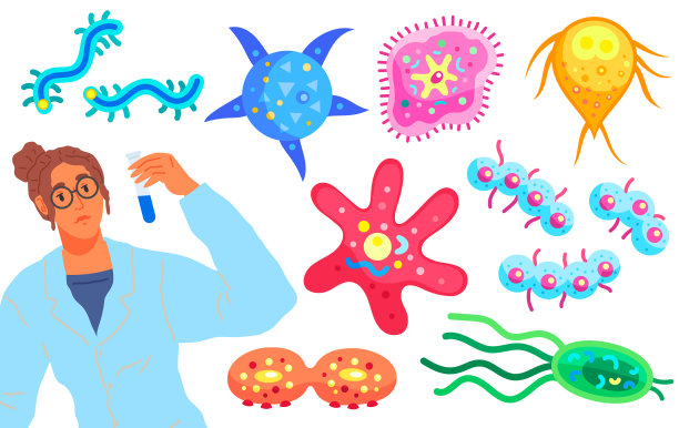 单细胞原生动物生物学研究。科学家对生物体进行实验室分析图片下载
