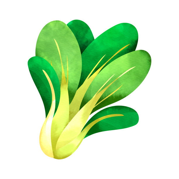 日本芥菜菠菜图片下载