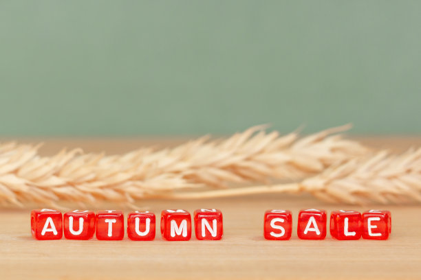 带“AUTUMN SALE”字样和小麦小穗的方块。下降的折扣季节概念。图片下载