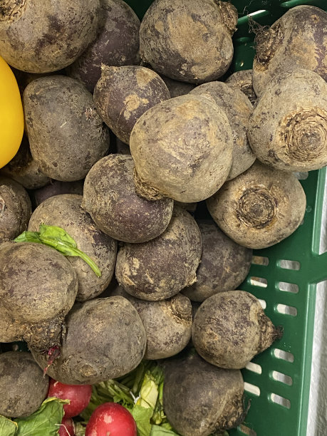 很多甜菜根图片下载