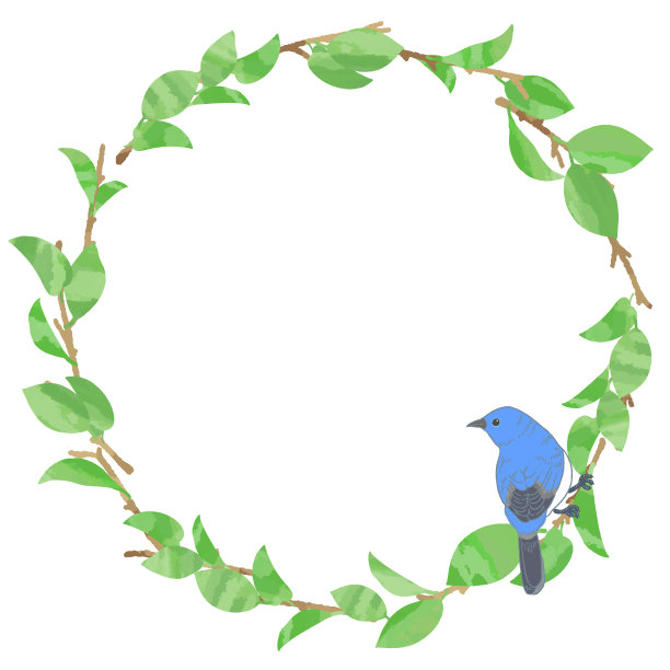 绿色的叶子框和可爱的小鸟。图片下载