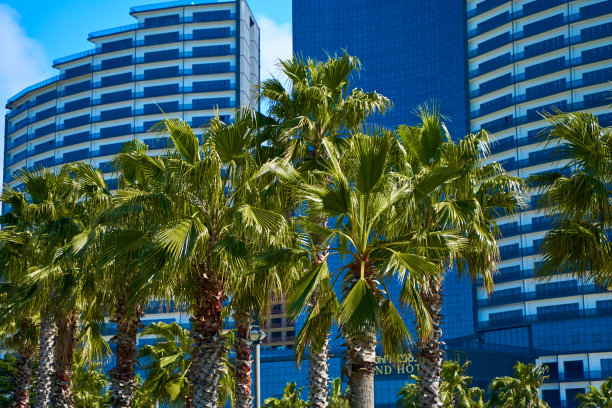 现代精心打扮的城市堤岸，公园区域图片下载