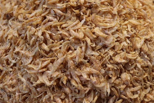 孟加拉国市场上kapenta鱼的符号图片下载