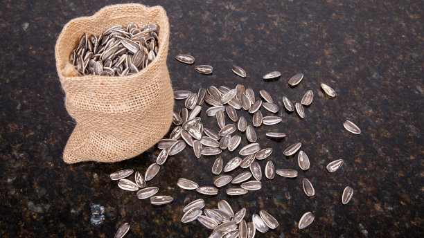 葵花籽:向日葵图片下载