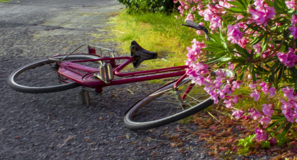 一辆红色的旧自行车停在花丛附近的田野里。意大利乡村复古自行车的选择性聚焦。Mayal油漆过滤器图片下载