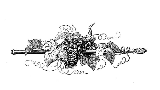 排版装饰工作人员与葡萄和葡萄叶，复古雕刻图片下载