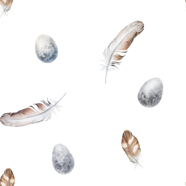 水彩无缝模式与鸟类羽毛和蛋在白色背景图片下载