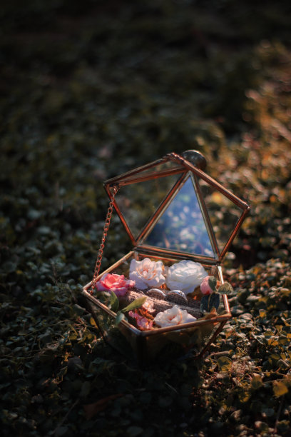 乡村结婚戒指图片下载