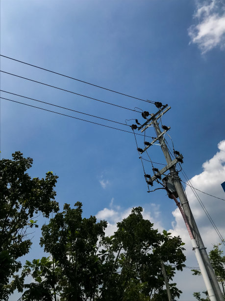 电线终端在混凝土电杆上，绝缘树木和多云的蓝天图片下载