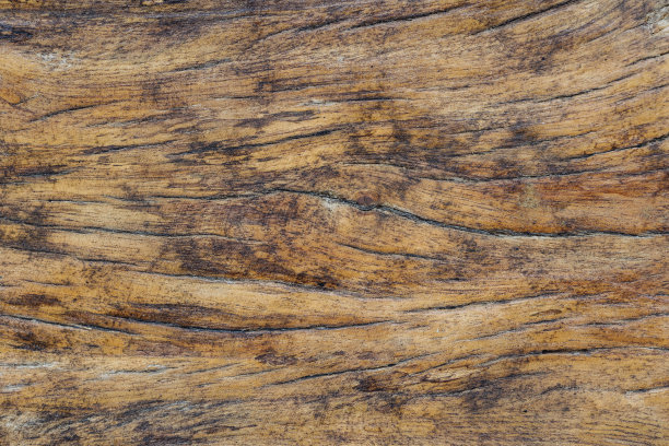 木纹背景的特写照片图片下载