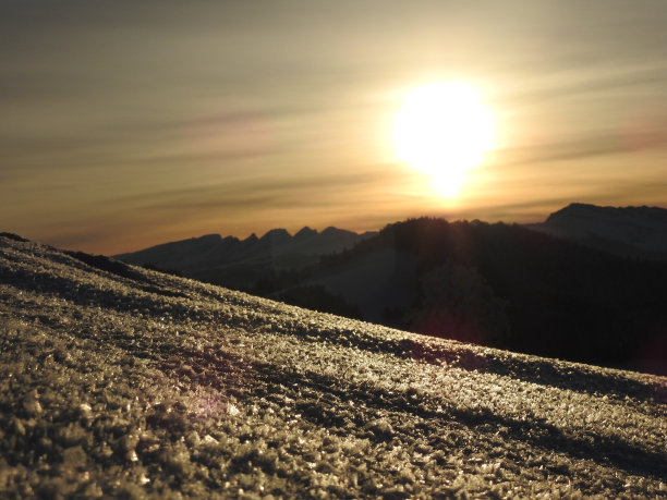 阳光下的雪花图片下载