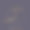 字母T标志。金色大写字体，手写签名字母首字母符号。图片下载