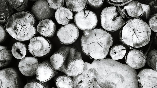 堆叠的锯原木背景。剪贴艺术照片。天然木质壁纸。黑白两色图片下载