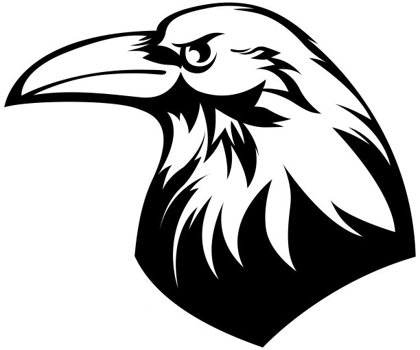 乌鸦头。乌鸦抽象人物插图。图形标志为标志设计模板。肖像，供公司使用或纹身。图片下载