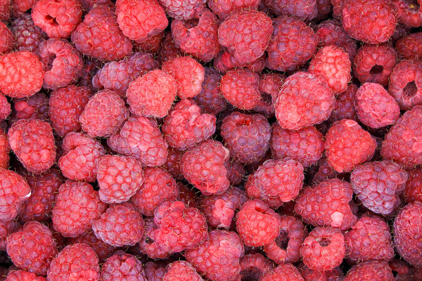 覆盆子顶部视图图片下载