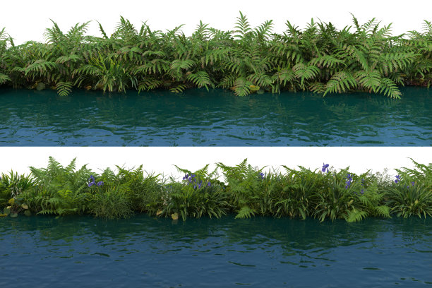 三维渲染运河植物在白色背景图片下载