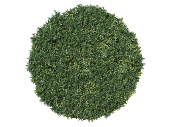 三维渲染垂直花园在白色背景图片下载