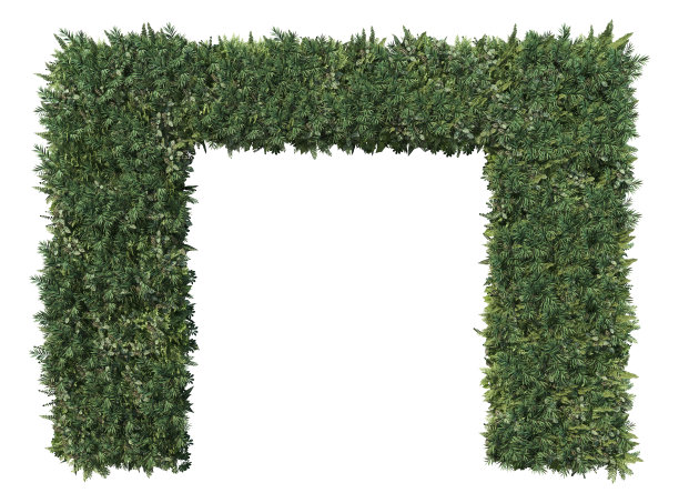 三维渲染垂直花园在白色背景图片下载