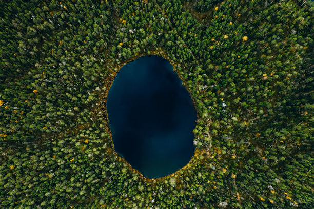 鸟瞰芬兰农村的绿色松树森林中的蓝色小湖。图片下载