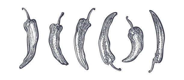 辣椒，半个或整个的墨西哥辣椒和辣椒粉图片下载