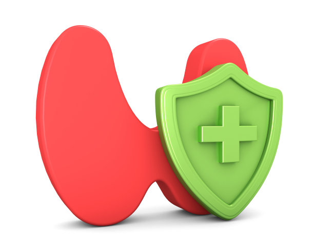 甲状腺保护3d隔离在白色背景。器官保护概念。三维渲染图片下载