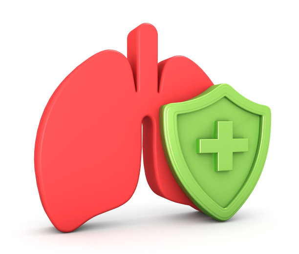 肺保护3d隔离在白色背景上。器官保护概念。三维渲染图片下载