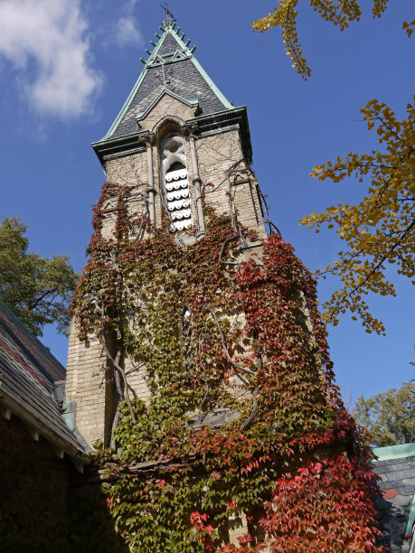 古老的哥特式建筑，秋天有五颜六色的常春藤图片下载