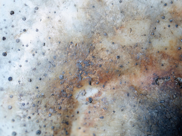 贝壳表面的微距照片(抽象，纹理背景)图片下载