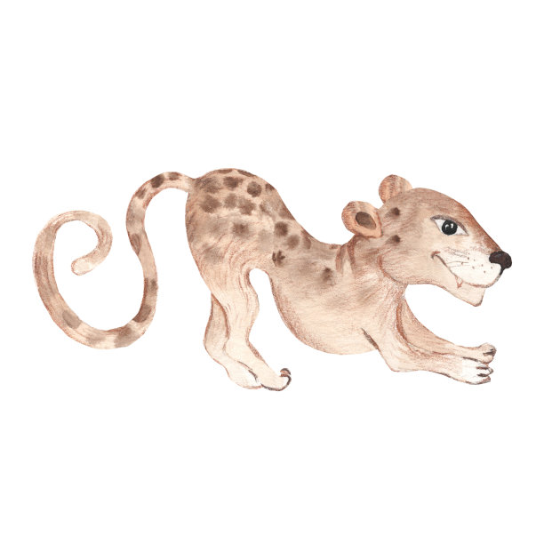 幼豹孤立在白色背景上。水彩手绘插图。图片下载