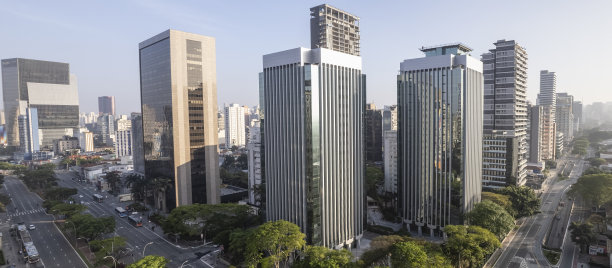 利马大道上的商业建筑全景图片下载