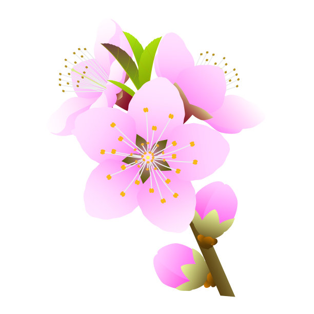 桃花枝初开图片下载