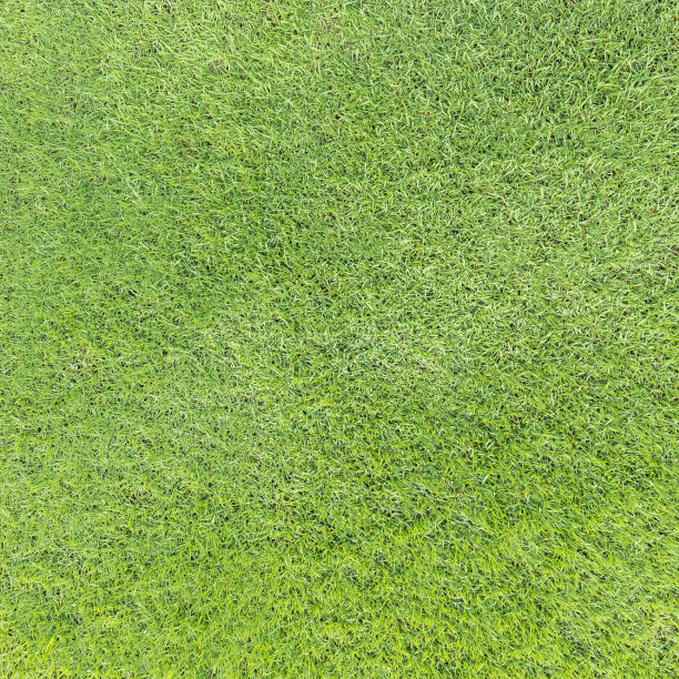 绿色的草坪纹理背景从俯视图为高尔夫球场草皮与草地模式的环境背景图片下载