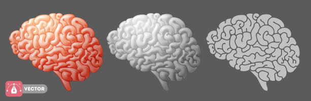 Brain 3d图标集图片下载