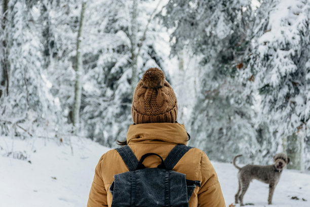 一个女孩在冬天的树林和她的狗徒步旅行的后视图图片下载